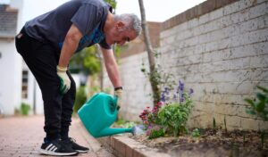 a man with a watering can, is watering a garden bed
