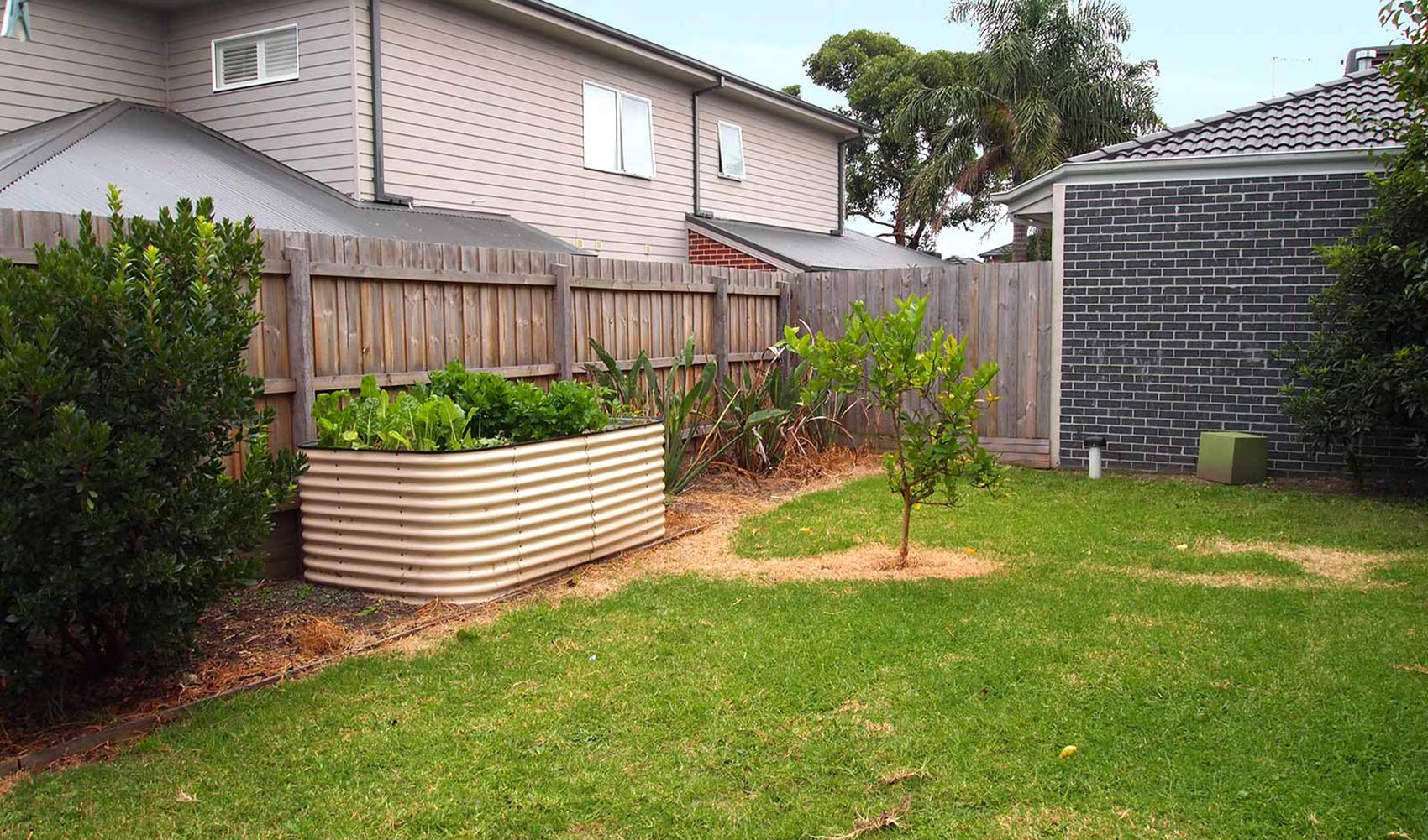 Lonsdale_Garden